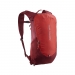  Salomon Adult Unisex Trailblazer 10lt Backpack  