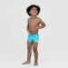  Speedo Boy's Tommy Turtle Placement Aquashort  