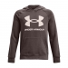  Under Armour Boy's Rival Fleece Hoodie   