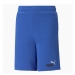  Puma Boy's Essentials+ 2 Col Train Shorts  