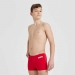  Arena Boy's Team Solid Swim Short  