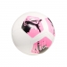  Puma Big Cat Size 5 Foot Ball  -  