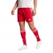  adidas Performance Men's Squadra 21 Football Shorts  