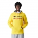  Champion Men's Hooded Sweatshirt  
