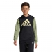  adidas Sportswear Youth Big Logo Colorblock Hoodie  -  
