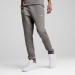  Puma Evostripe Pants   