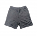  Champion Men's Standard Fit Garment Wash Logo Shorts   