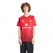  adidas Performance Men's Manchester United FC Home Jersey  