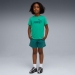  Puma Kids Essentials 1 Color No1 Logo Tee and Shorts Set ������� 