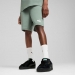  Puma Boy's Essentials 2 Color No1 Logo Shorts  