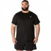  Asics Men's Core Shortsleeve T-Shirt  