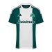  adidas Performance Men's Panathinaikos Home Official Appearance Jersey  -  