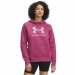  Under Armour Women's Rival Fleece Shimmer Hoodie  