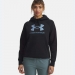  Under Armour Women's Rival Fleece Shimmer Hoodie  -  