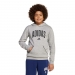  adidas Sportswear Kids Collegiate Typography Fleece Hoodie  