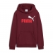  Puma Boy's Essentials 2 Color No1 Logo Fleece Hoodie  