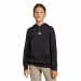  adidas Sportswear Unisex Kids Small Logo Fleece 225 Hoodie  