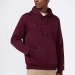  Champion Men's Fleece With Big Embroidered Logo Icons Hoodie ������� 