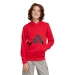  adidas Sportswear Kids Big Logo French Terry 280 Hoodie ������� 