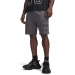  Under Armour Men's Rival Lightweight Graphic Shorts ���� ������ 
