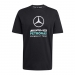  adidas Performance Men's Mercedes AMG F1 Team DNA Graphic Tee ����� 