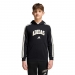 adidas Sportswear Kids Collegiate Hoodie ����� 