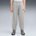  Puma Boy's Essentials 2 Color No1 Logo Fleece Sweatpants ���� ������� 