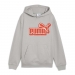  Puma Boy's Essentials Logo Lab Relaxed Fleece Hoodie ���� - ������� 