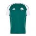  adidas Performance Men's Panathinaikos Home Official 25-26 Jersey ������� 